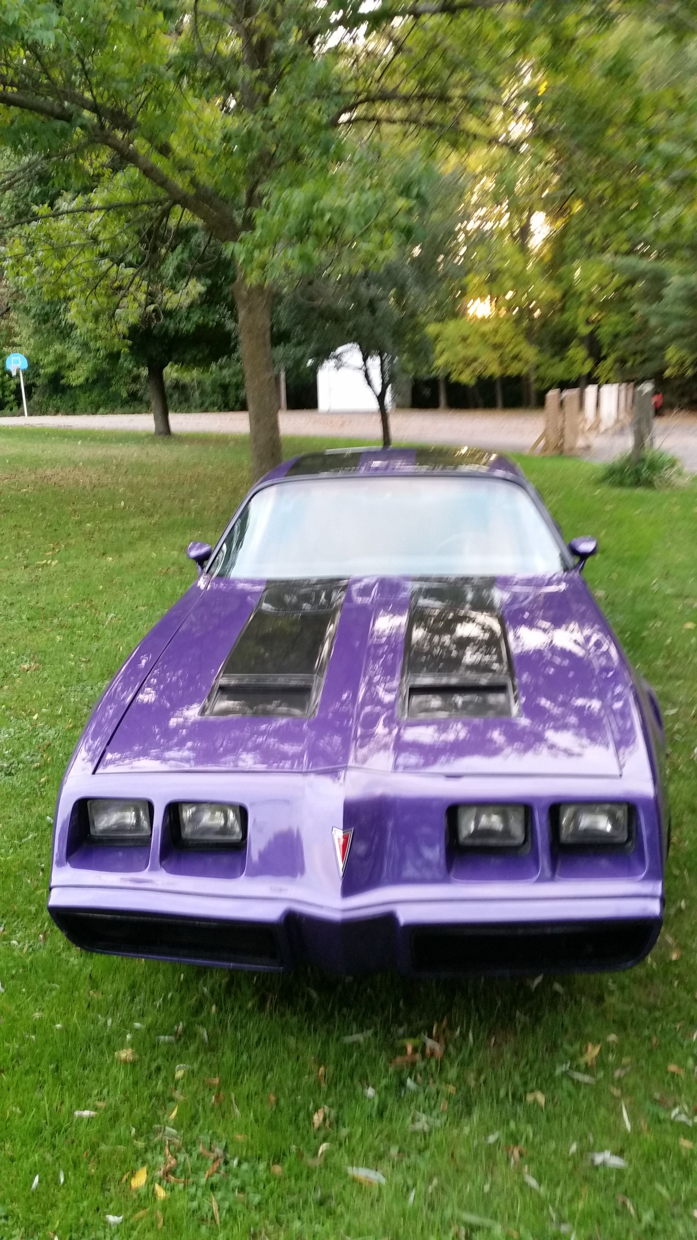 20160930_181334.jpg 20160930_181334.jpg