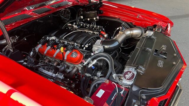 5f9cb2_13a384be538743aba079f71a4224f659~mv2 Large.jpeg
