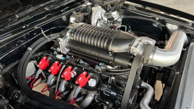 5f9cb2_760ee4c32feb4ce48bd0b623f548ea89~mv2 Large.jpeg