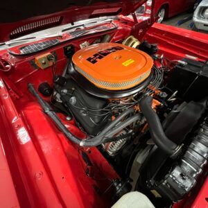 img_8065-1-300x300.jpeg