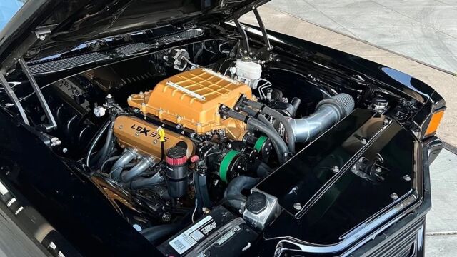 5f9cb2_b313bcd600734f8c94ef04ffd9e74595~mv2 Large.jpeg
