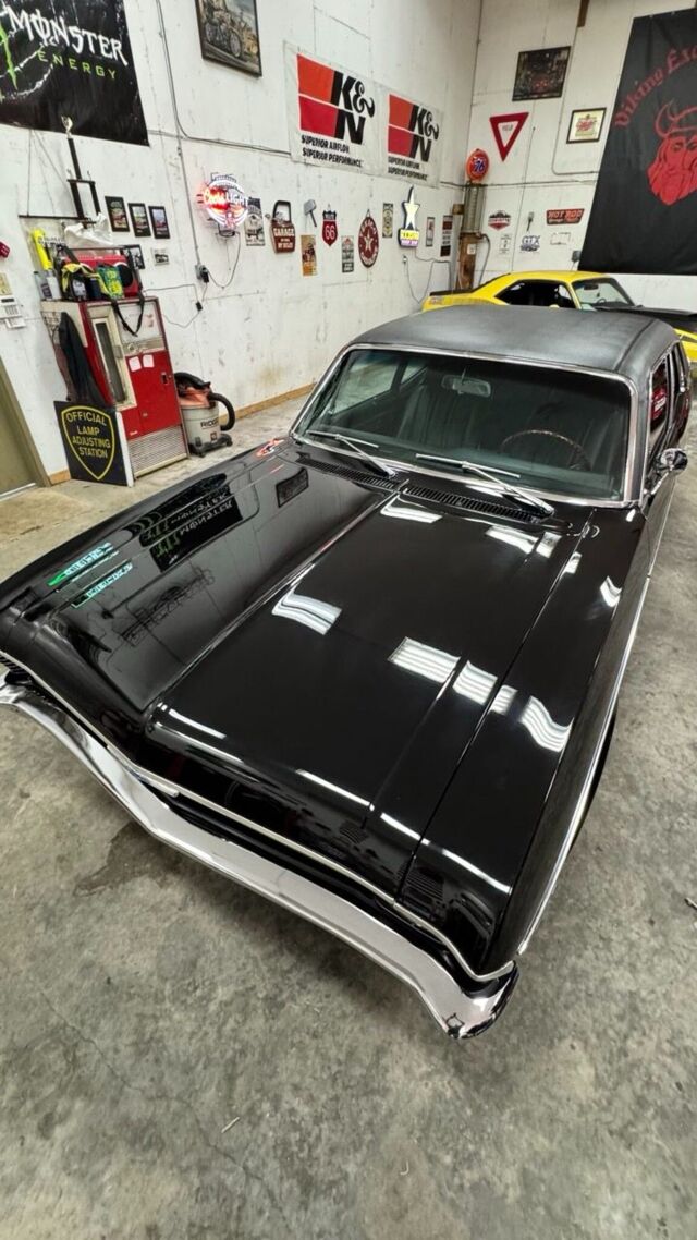 img_4646-1-1152x2048 Large.jpeg