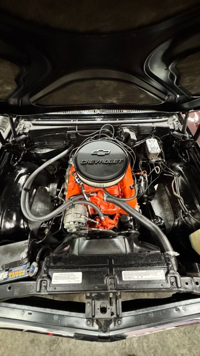 img_4662-2-1152x2048 Large.jpeg