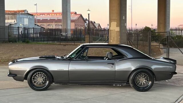 5f9cb2_dd1a912ccb3d4027bb15887b983e18ff~mv2 Large.jpg