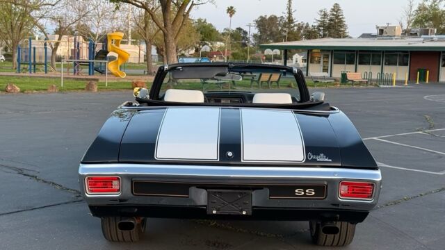5f9cb2_378f78ac8d434cbf952b15d2666396fa~mv2 Large.jpeg