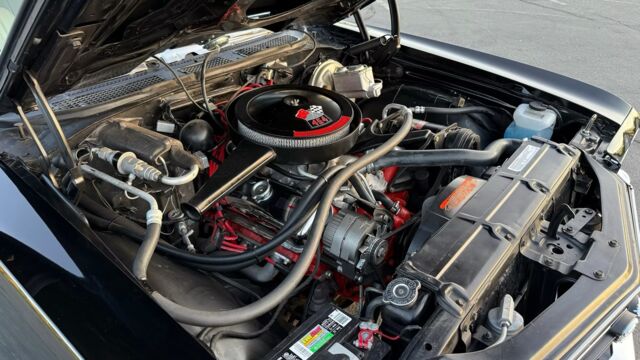 5f9cb2_994c43e755704b3eb3b4267052c10f60~mv2 Large.jpeg