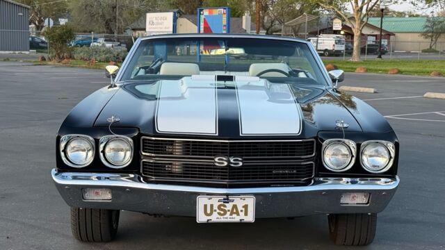 5f9cb2_c0b7f420461f419da3a914134972857e~mv2 Large.jpeg