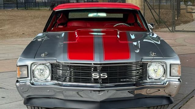 5f9cb2_58a0950f91ce423cba72c55aa8ec1178~mv2 Large.jpeg