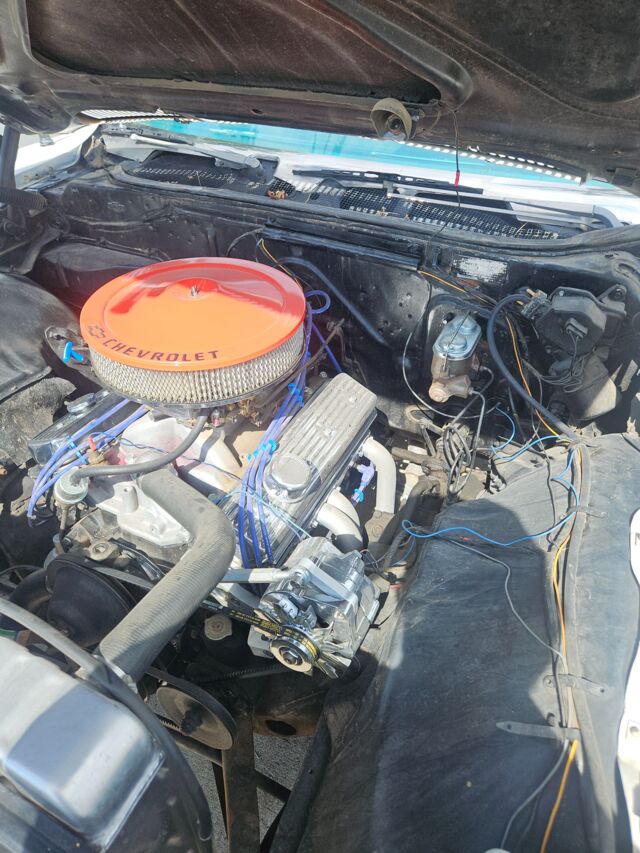 20250529_161714.jpg