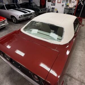 img_5998-300x300.jpeg