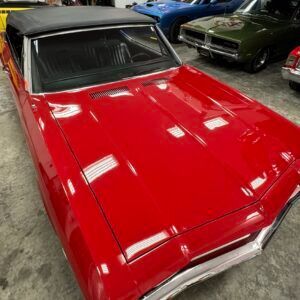 img_4257-1-300x300.jpeg