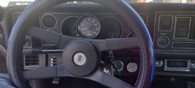 IMG_20250207_111044521_HDR.jpg