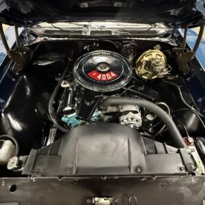 img_6605-1-300x300.jpeg