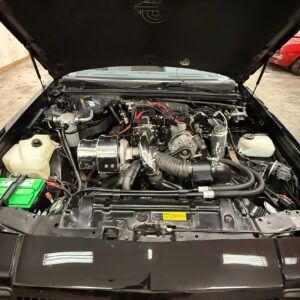 img_6339-300x300.jpeg