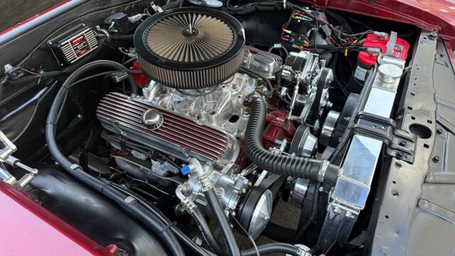 5f9cb2_0cbdb2fe794d48caa8740fca1ecd59a3~mv2 Large.jpeg