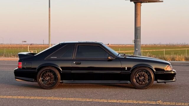 5f9cb2_8400686029ad4d17835f53fabab3ef08~mv2 Large.jpeg