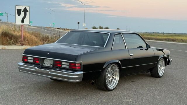 5f9cb2_15d51bd9740a4569a2d9799224529f3a~mv2 Large.jpeg