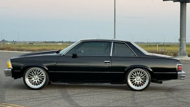 5f9cb2_d356994f03e940c7b15c32bc0e4e8fd5~mv2 Large.jpeg