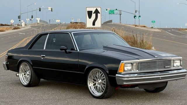 5f9cb2_80bcda82ef7b4efb91d5d9af704b578b~mv2 Large.jpeg