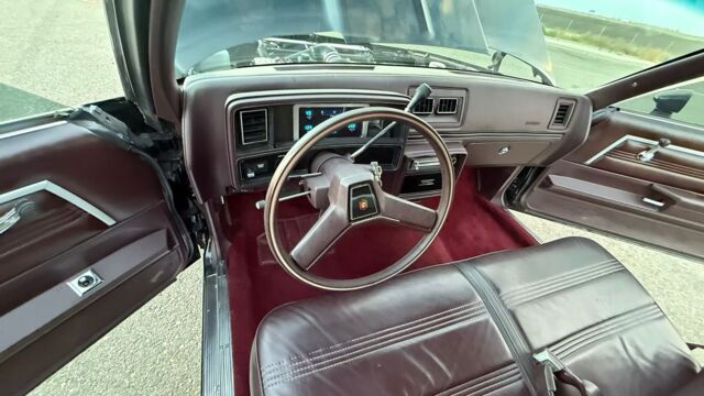 5f9cb2_991915266582496c9e2a2d09288a7c93~mv2 Large.jpeg