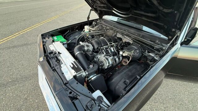 5f9cb2_67b7462baf4a47c09f352599a417059d~mv2 Large.jpeg