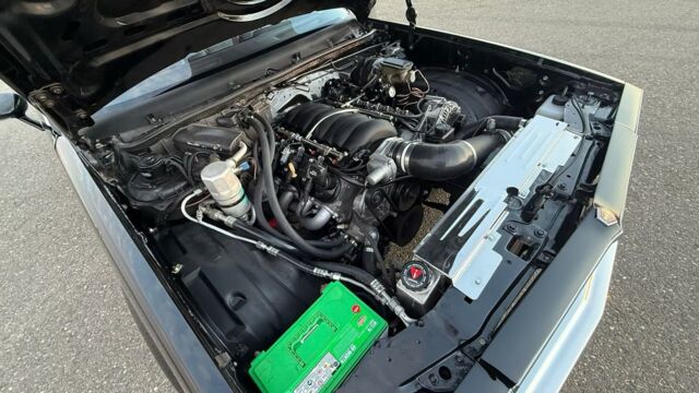 5f9cb2_f6e7d6feeeed4537a997fc8d205e9d1a~mv2 Large.jpeg