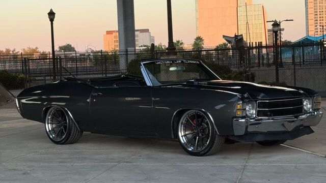 5f9cb2_7175f15ef9cf4974a1f1340c30511323~mv2 Large.jpeg