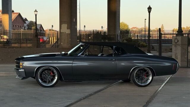 5f9cb2_ef5b7f4748c74922811da0f27f7d03f5~mv2 Large.jpeg