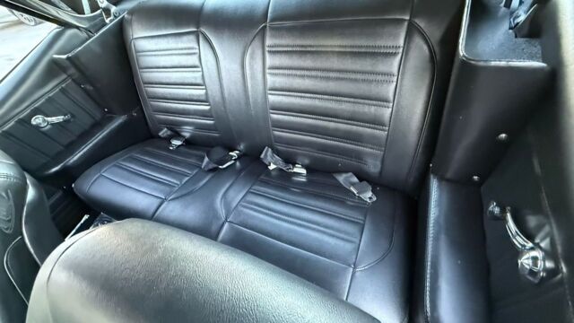 5f9cb2_398d125082334cebb6e5c5b54f09374d~mv2 Large.jpeg