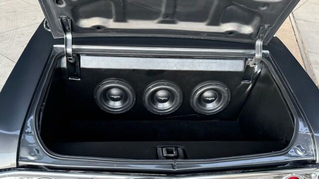 5f9cb2_e1647d24914d4058955cf6a28b1bc881~mv2 Large.jpeg