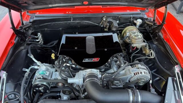 5f9cb2_26c69a856075416498b43b415c447ada~mv2 Large.jpeg