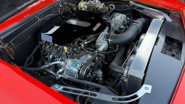 5f9cb2_796f5c1ed2f64155a5eb175a2f1633a8~mv2 Large.jpeg