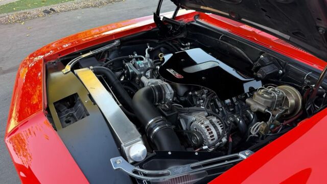 5f9cb2_a82575f5ea7f467fa23c3acdd10aaf2a~mv2 Large.jpeg