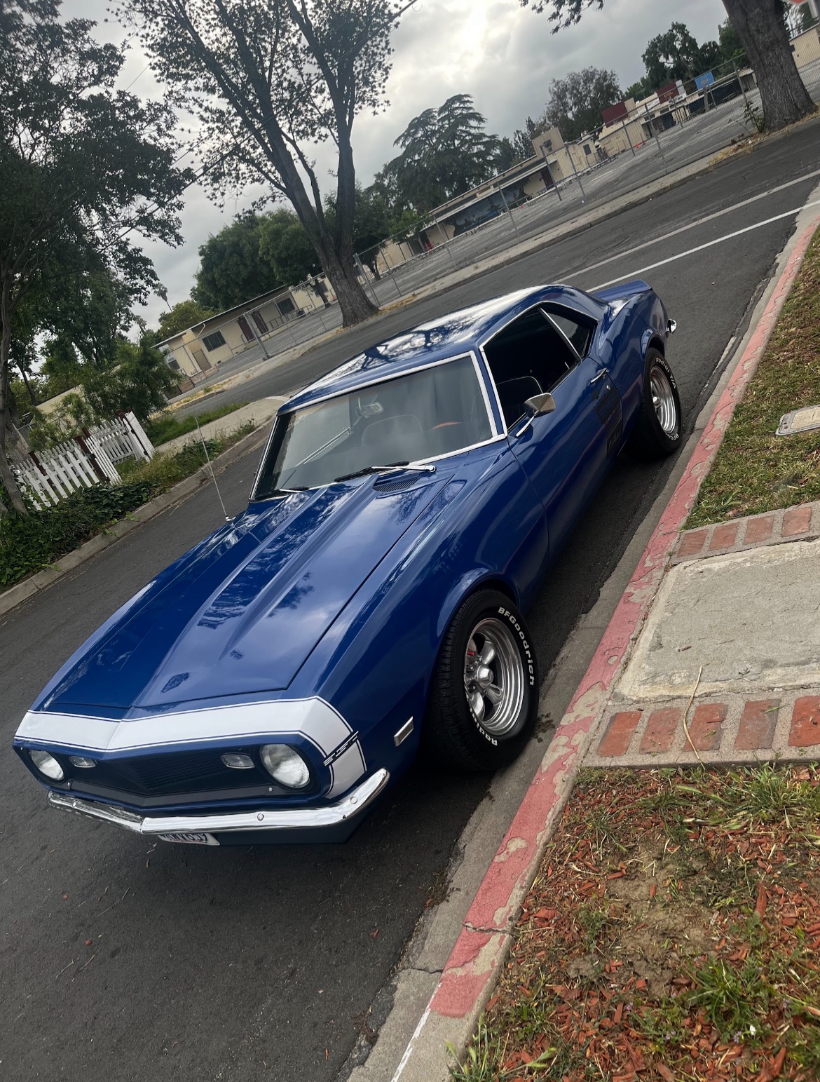 IMG_5832.jpeg IMG_5832.jpeg