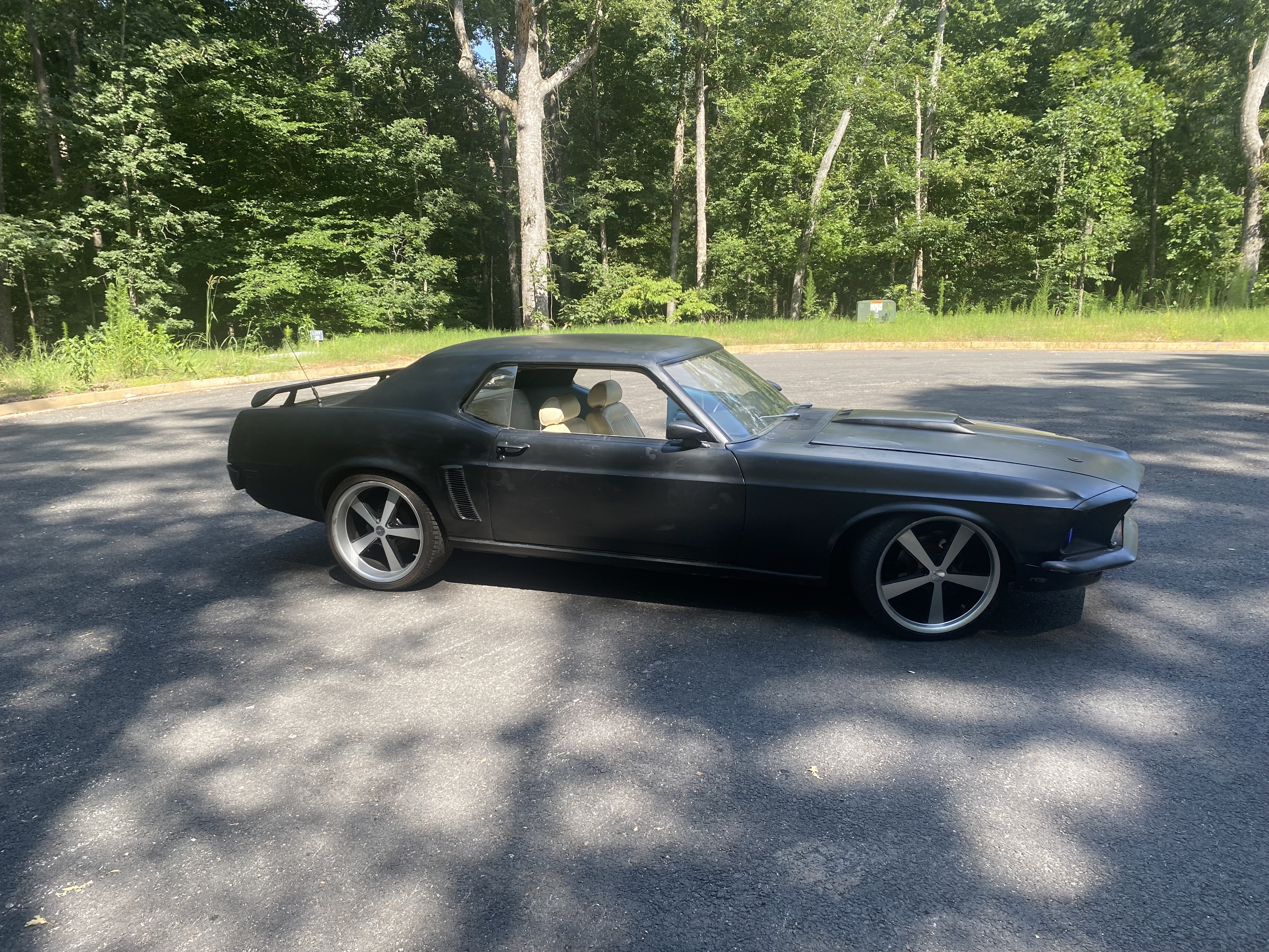 IMG_2164.jpeg IMG_2164.jpeg