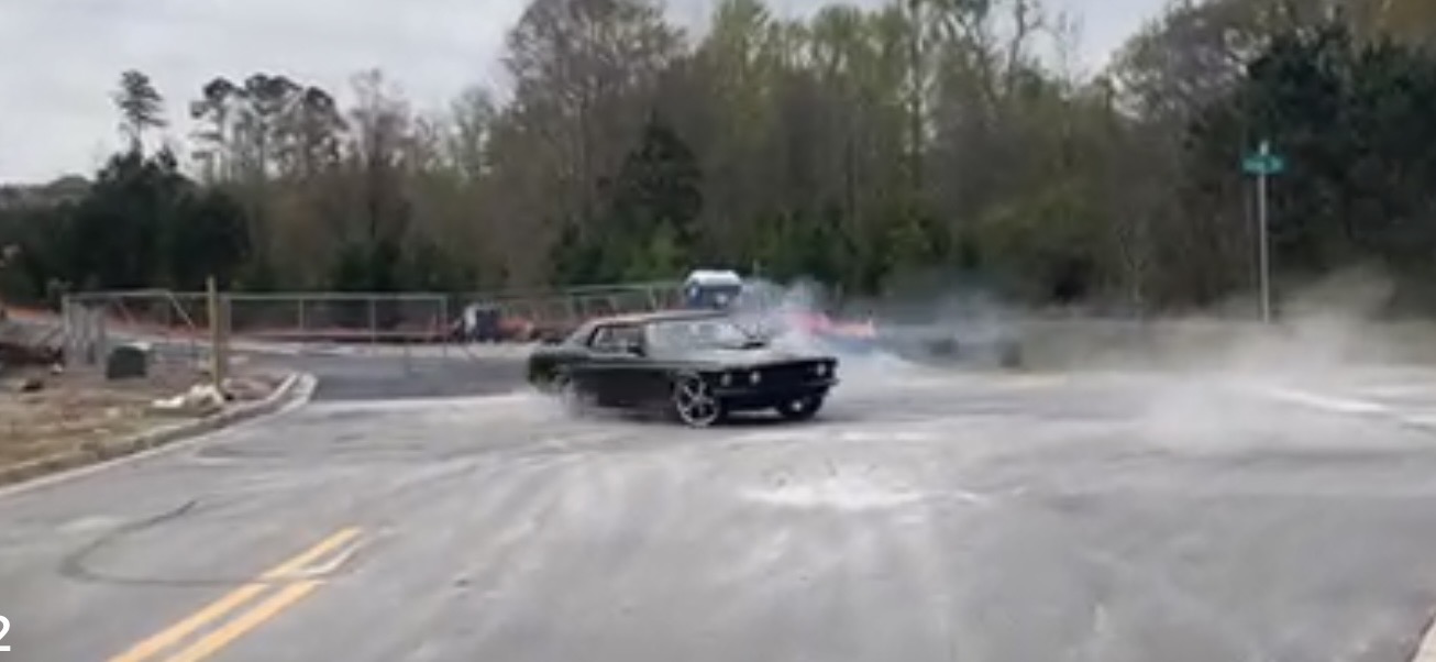 IMG_8518.jpeg IMG_8518.jpeg