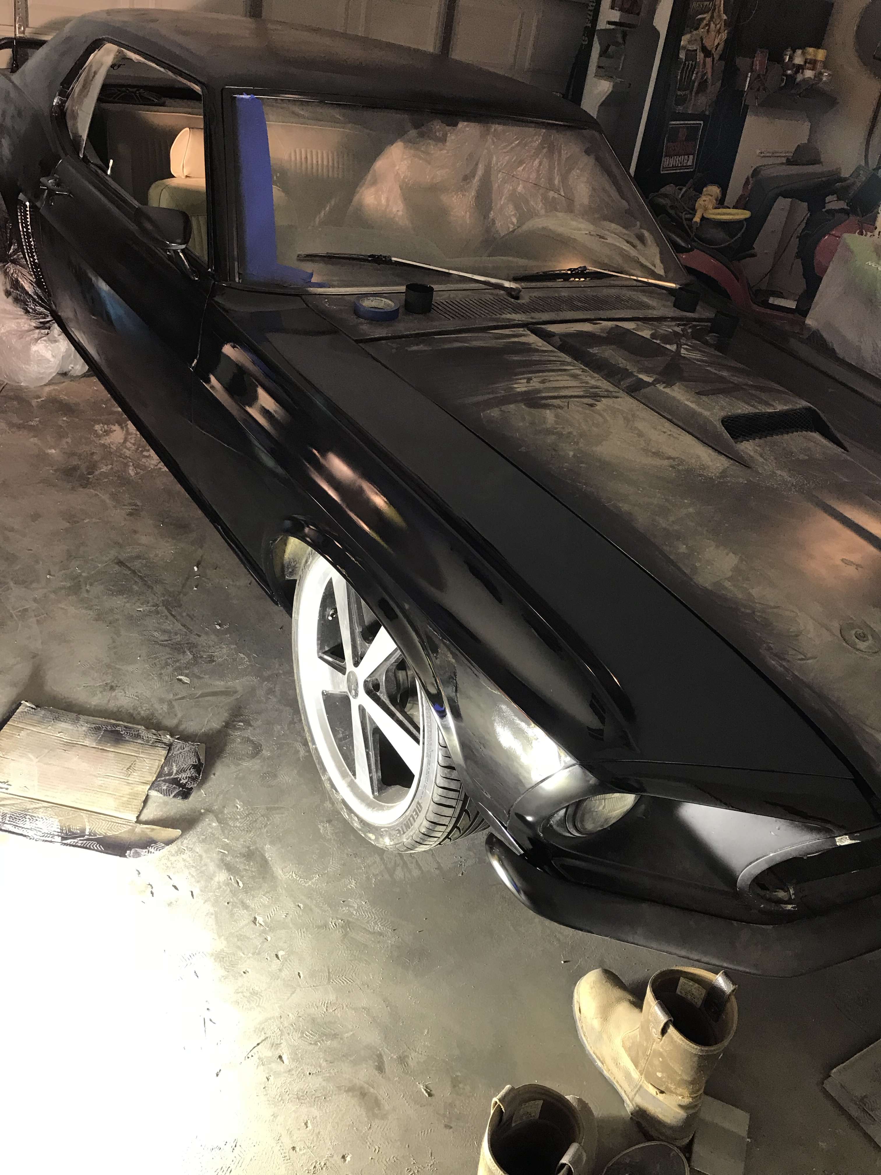 IMG_2448.jpeg IMG_2448.jpeg