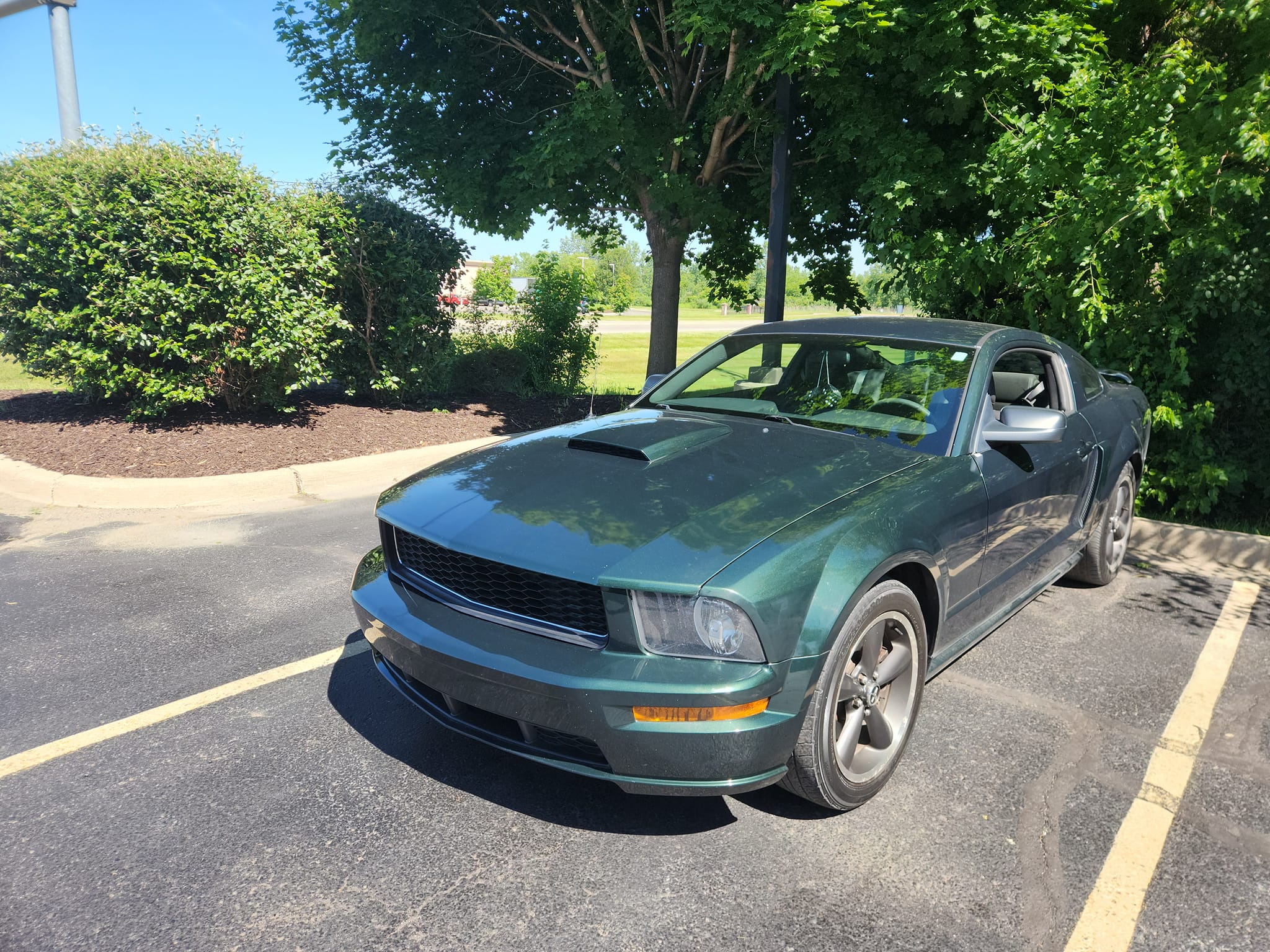 484162023_1868926463916372_7399563404628372884_n (1).jpg 484162023_1868926463916372_7399563404628372884_n (1).jpg