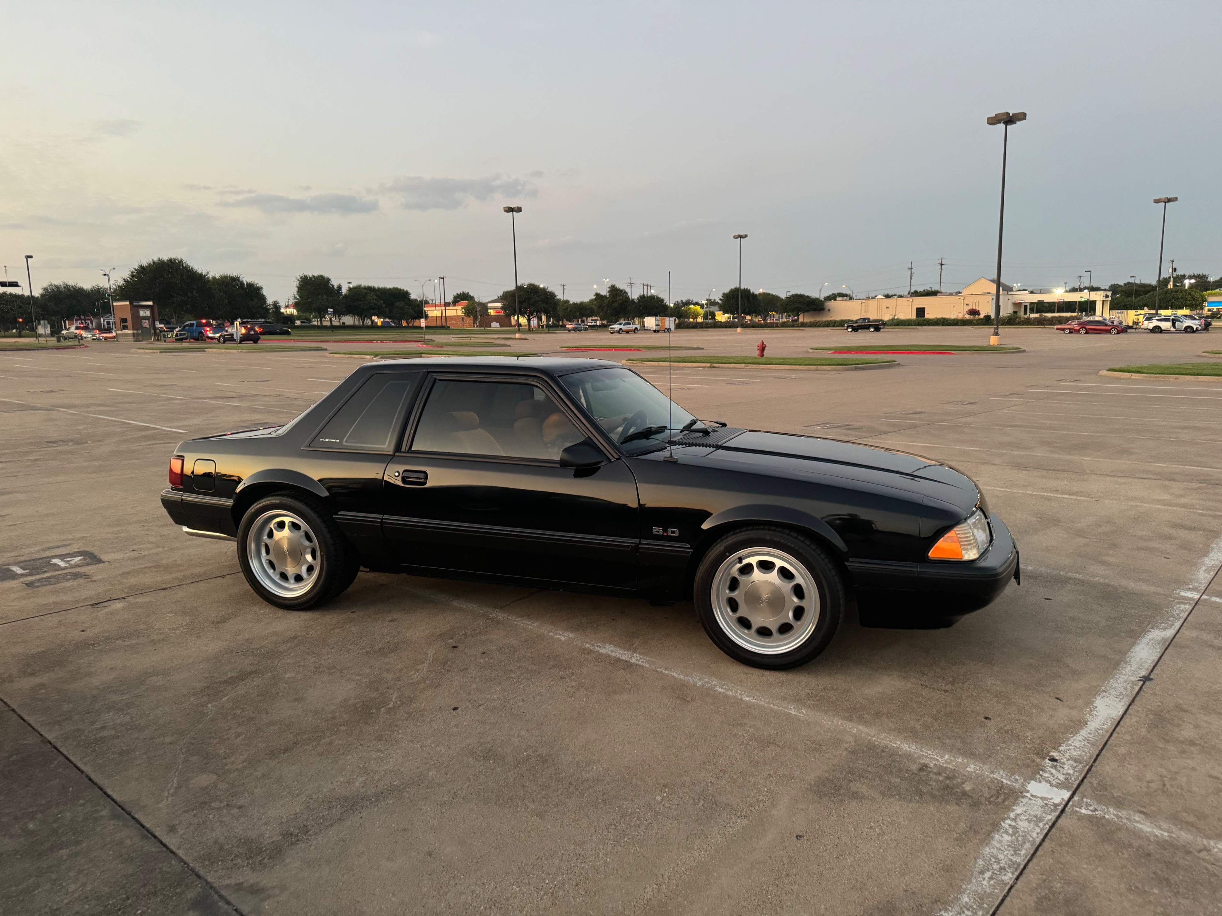 IMG_4683.jpeg IMG_4683.jpeg