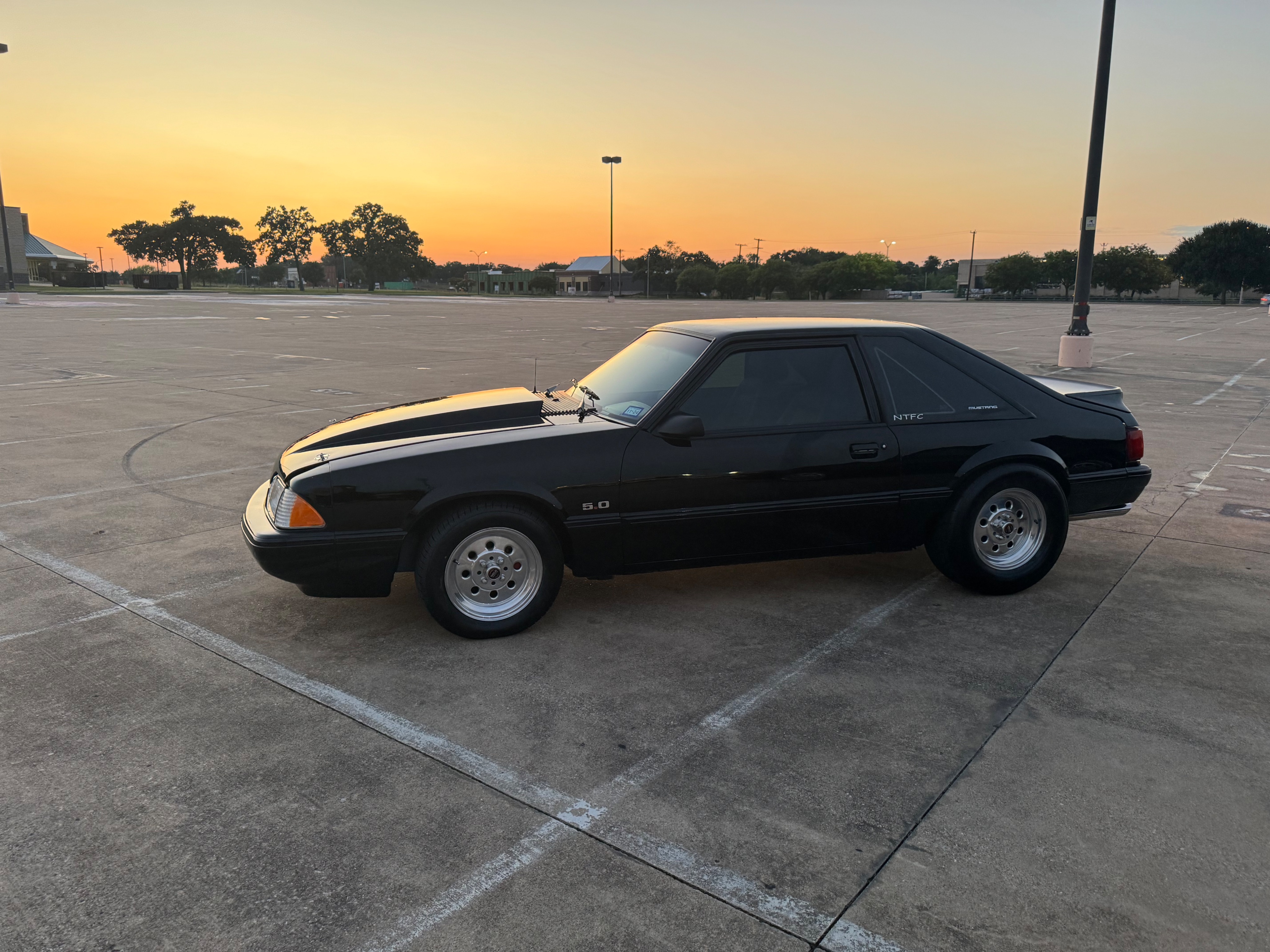 IMG_4682.jpeg IMG_4682.jpeg