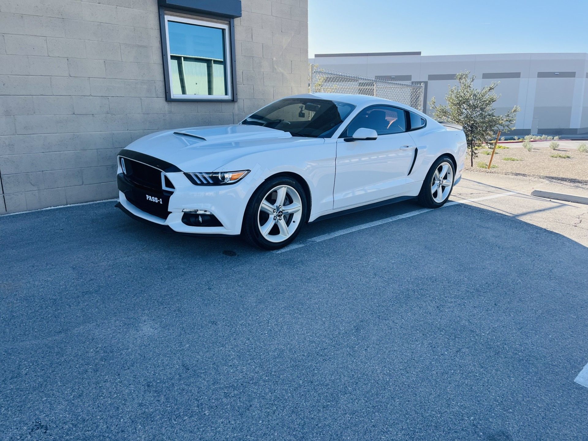 thumbnail_IMG_9778.jpg thumbnail_IMG_9778.jpg