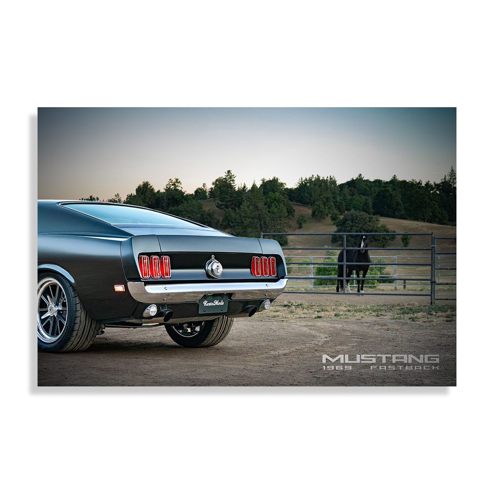 RM32 Run WIld Poster