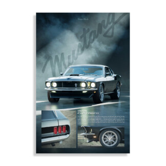 Wild Spirit Poster